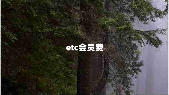 etc會(huì)員費(fèi)
