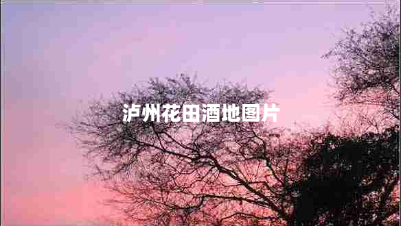 瀘州花田酒地圖片 瀘州花田酒地圖片