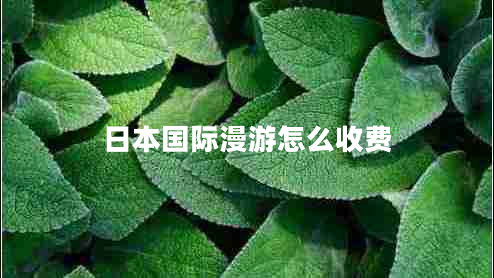 日本國(guó)際漫游怎么收費(fèi)