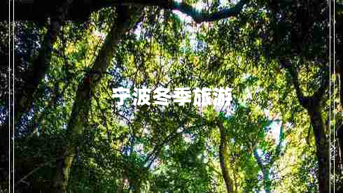 寧波冬季旅游 寧波冬季旅游