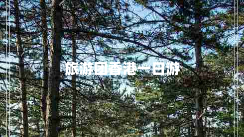 旅游團香港一日游
