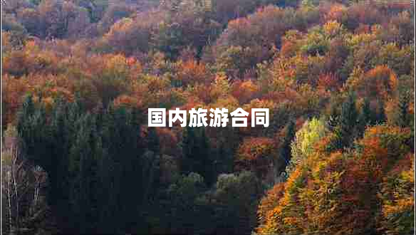 國內(nèi)旅游合同