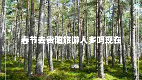 春節(jié)去貴陽旅游人多嗎現(xiàn)在