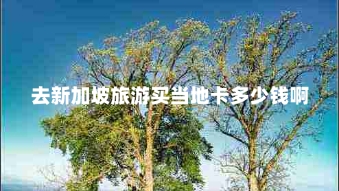 去新加坡旅游買當(dāng)?shù)乜ǘ嗌馘X啊