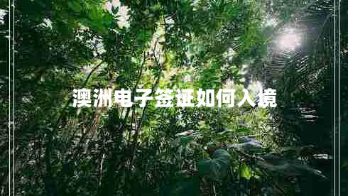 澳洲電子簽證如何入境