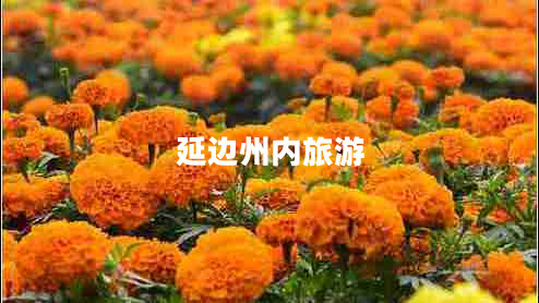 延邊州內(nèi)旅游