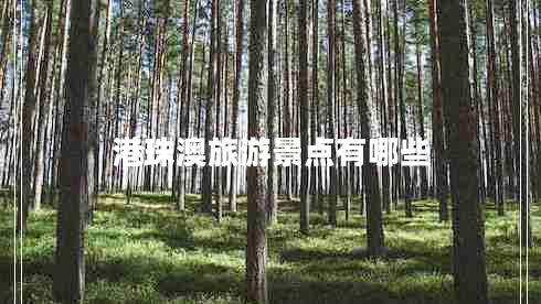 港珠澳旅游景點(diǎn)有哪些 港珠澳旅游景點(diǎn)有哪些