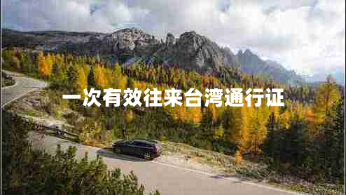 一次有效往來臺灣通行證 一次有效往來臺灣通行證