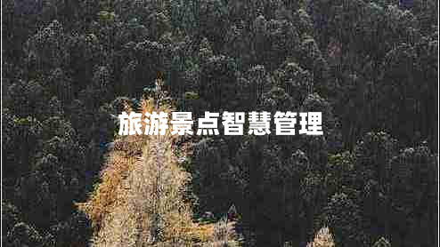 旅游景點(diǎn)智慧管理