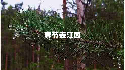 春節(jié)去江西