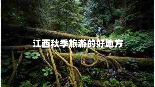 江西秋季旅游的好地方