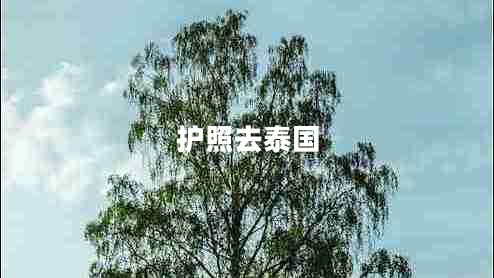 護(hù)照去泰國(guó)