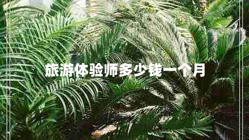 旅游體驗(yàn)師多少錢一個(gè)月