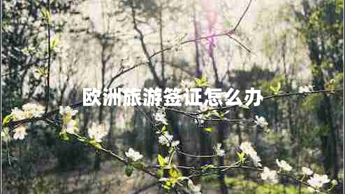 歐洲旅游簽證怎么辦