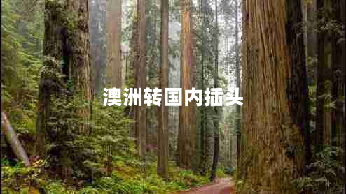 澳洲轉(zhuǎn)國內(nèi)插頭 澳洲轉(zhuǎn)國內(nèi)插頭