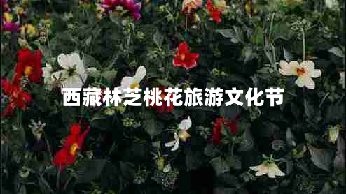 西藏林芝桃花旅游文化節(jié)