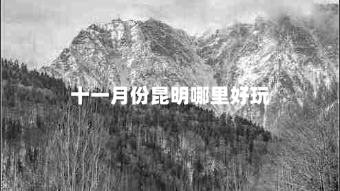 十一月份昆明哪里好玩