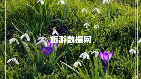 旅游數(shù)據(jù)網(wǎng)