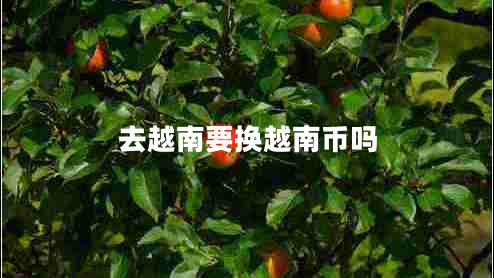 去越南要換越南幣嗎