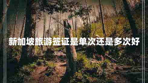 新加坡旅游簽證是單次還是多次好 新加坡旅游簽證是單次還是多次好