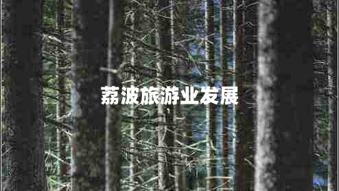 荔波旅游業(yè)發(fā)展