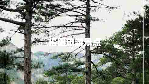 揭陽旅游景點(diǎn) 揭陽旅游景點(diǎn)