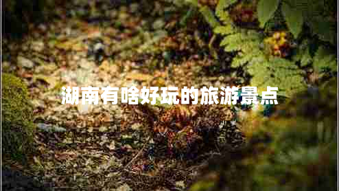湖南有啥好玩的旅游景點(diǎn)