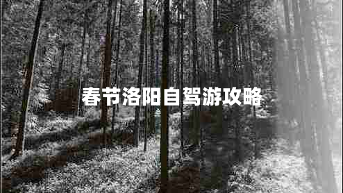 春節(jié)洛陽自駕游攻略