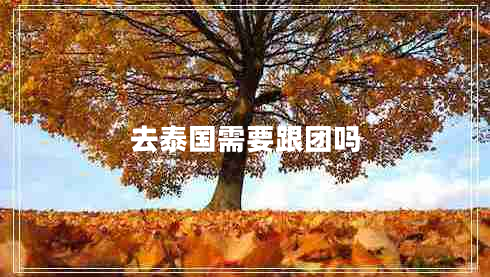 去泰國需要跟團(tuán)嗎