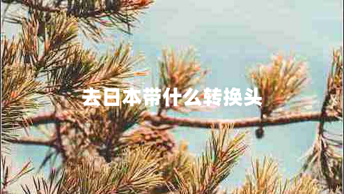 去日本帶什么轉(zhuǎn)換頭