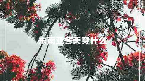 東南亞冬天穿什么