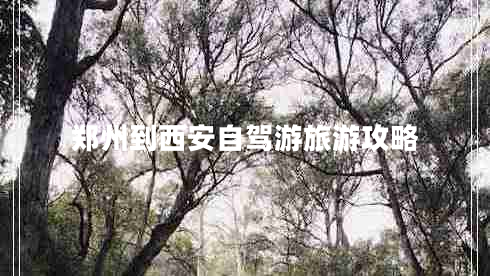 鄭州到西安自駕游旅游攻略