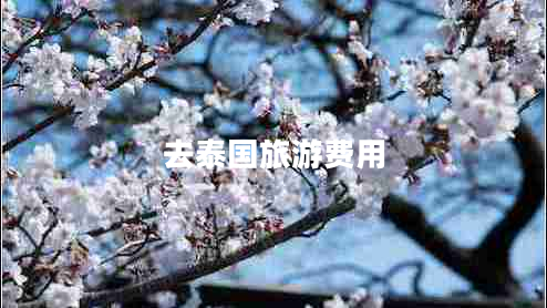 去泰國旅游費用