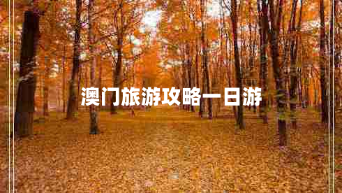 澳門旅游攻略一日游