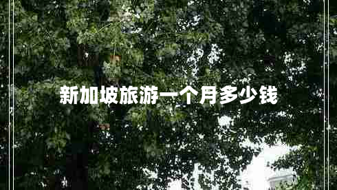 新加坡旅游一個(gè)月多少錢