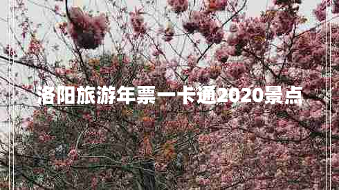 洛陽旅游年票一卡通2020景點 洛陽旅游年票一卡通2020景點