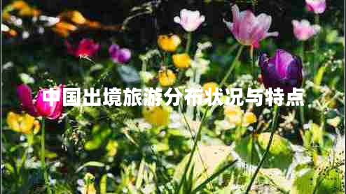 中國出境旅游分布狀況與特點(diǎn) 中國出境旅游分布狀況與特點(diǎn)