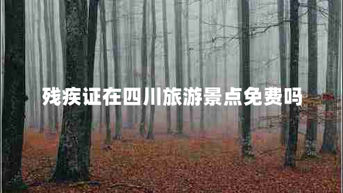 殘疾證在四川旅游景點(diǎn)免費(fèi)嗎