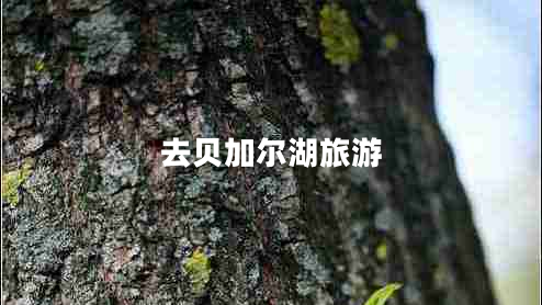 去貝加爾湖旅游