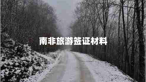 南非旅游簽證材料