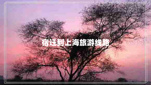 宿遷到上海旅游線路 宿遷到上海旅游線路