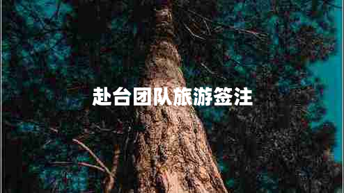 赴臺團隊旅游簽注