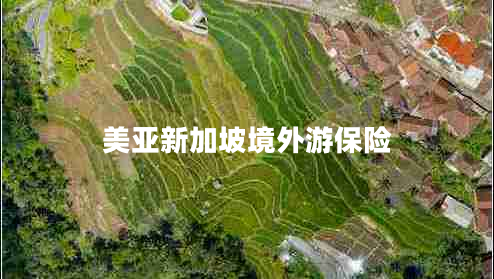 美亞新加坡境外游保險