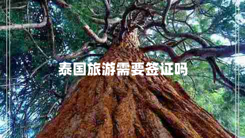 泰國(guó)旅游需要簽證嗎 泰國(guó)旅游需要簽證嗎