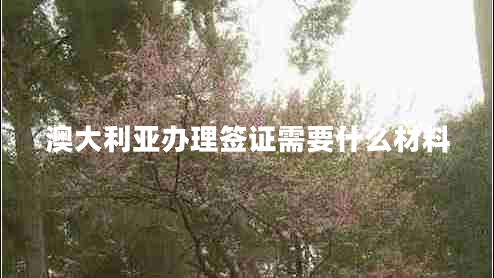 澳大利亞辦理簽證需要什么材料