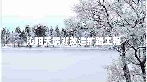 沁陽天鵝湖改造擴(kuò)路工程 沁陽天鵝湖改造擴(kuò)路工程