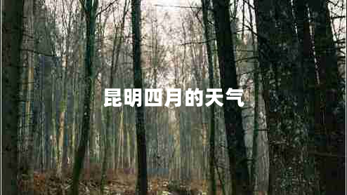 昆明四月的天氣