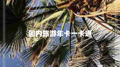 國(guó)內(nèi)旅游年卡一卡通