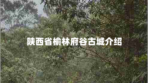 陜西省榆林府谷古城介紹