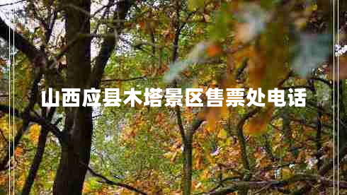 山西應(yīng)縣木塔景區(qū)售票處電話 山西應(yīng)縣木塔景區(qū)售票處電話